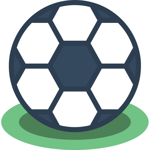 Bursaspor Maçları