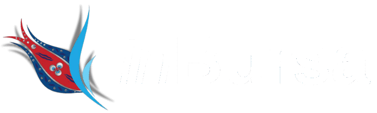 inBursa